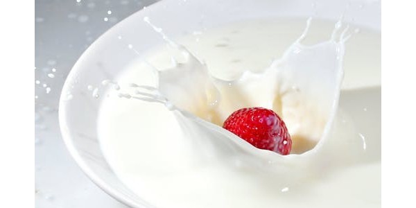進口乳制品清關(guān)