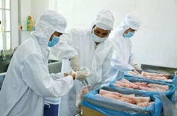進(jìn)口肉類